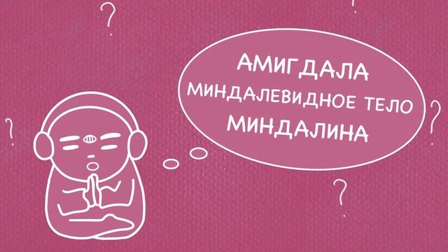 Амигдала | Миндалевидное тело. Стресс, ПТСР, депрессия, тревожность, медитация. Бонус - 5 лайфхаков смотреть онлайн