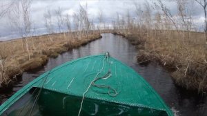 Выезд в непроходимые места Новосибирской области. Рыбалка на болотах.