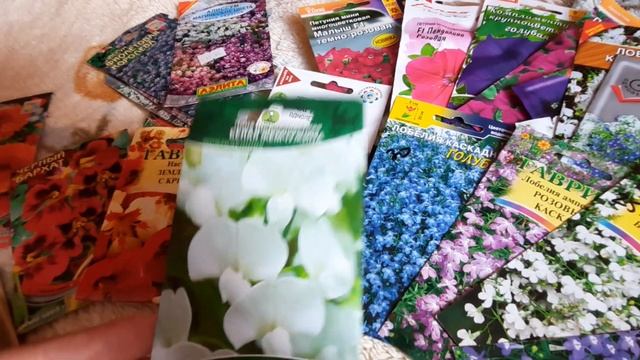 Обзор семян Цветов - Петуния, лобелия и другие. Ароматный цветник. #обзор_семян #сезон смотреть онлайн