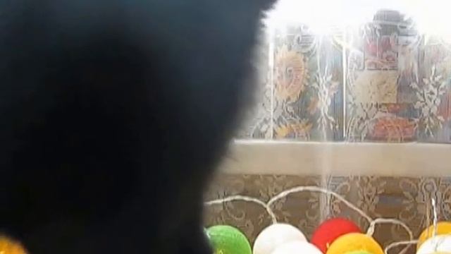 Что я покупаю в Fix Price? Февраль 2017 смотреть онлайн