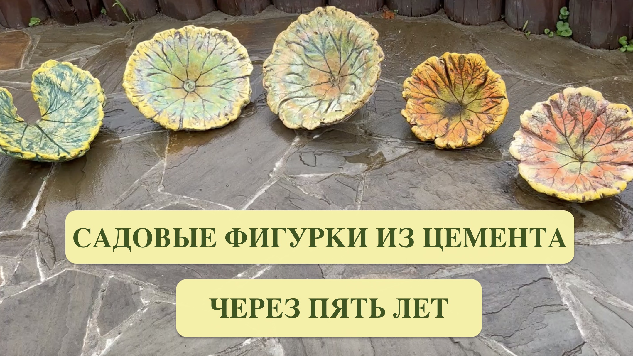 ФИГУРКИ И ГРИБОЧКИ ИЗ ЦЕМЕНТА ЧЕРЕЗ ПЯТЬ ЛЕТ. ДАРМЕРА ОСЕНЬЮ. БРУННЕРА ЛУКИН ГЛАСС и др.
