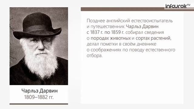 Учение об эволюции органического мира | Биология 9 класс #25 | Инфоурок смотреть онлайн