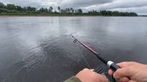 Ловим щук на спининг, с лодки Mishimo 370 sport на реке Лямин. Клюёт на каждом забросе.