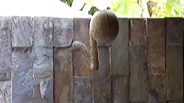 kihaad coco doccia смотреть онлайн