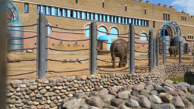 Московский зоопарк(13) смотреть онлайн