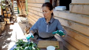 ЛЕЧИМ ГРИБОК СТОП ГЕРПЕС БОРОДАВКИ МАЗЬ ИЗ ЧИСТОТЕЛА СВОИМИ РУКАМИ