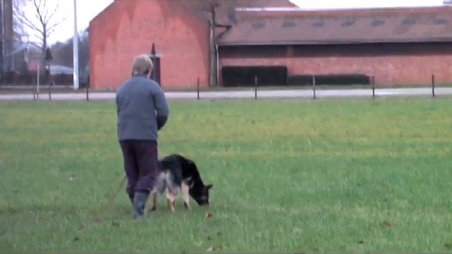 Ghor van rozentuin speuren 13/01/2008 смотреть онлайн