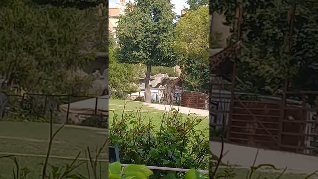 15 августа 2023 г. смотреть онлайн