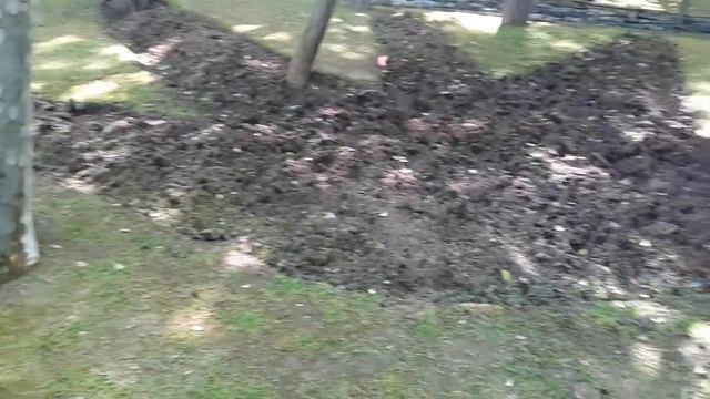 СТАМБУЛ / ПАРК ГЮЛЬХАНЕ И ОКРЕСТНОСТИ смотреть онлайн