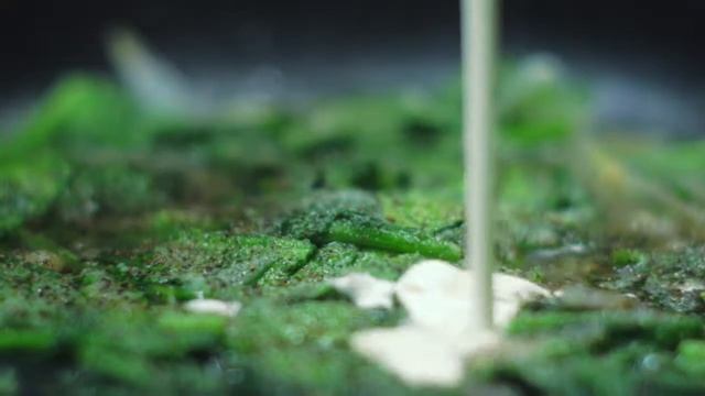 Веганские Ресторанчики и Кафе