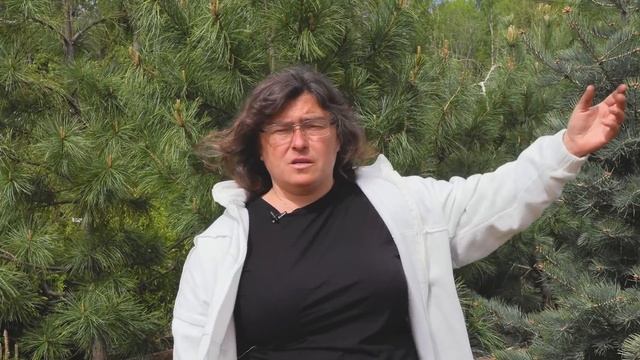 Ответы на вопросы выпуск 2: Использование почвы из леса смотреть онлайн