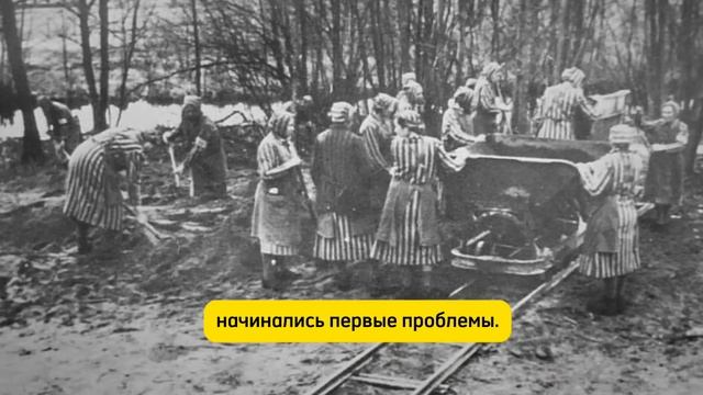 СЛОЖНАЯ ЖИЗНЬ ДЕВУШЕК ФЮРСТЕНБЕРГА! ЧЕРЕЗ ЧТО ИМ ПРИШЛОСЬ ПРОЙТИ ВО ВРЕМЯ ВТОРОЙ МИРОВОЙ!? смотреть онлайн