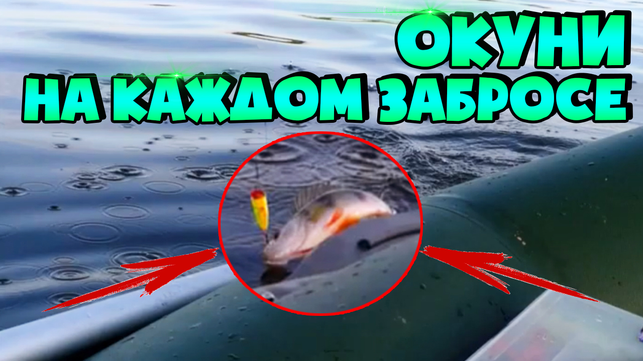 ЛОВЛЯ ОКУНЯ НА СПИННИНГ | ЛОВЛЯ НА ПОППЕР | ЖОР ОКУНЯ смотреть онлайн