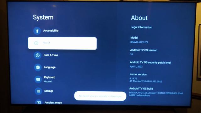 How to TURN ON ADB Debugging on Sony TV Google TV (Easy Method) смотреть онлайн