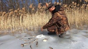 Ловля краснопёрки со льда! На Рыбалку,для души!