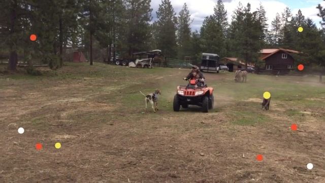 Four Wheeler Fun! смотреть онлайн