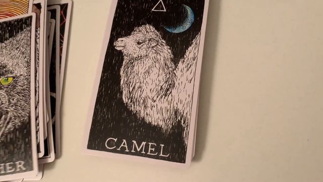 ANIMAL SPIRIT ORACLE CARDS REVIEW смотреть онлайн