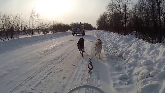 Едем,едем мы на дачу