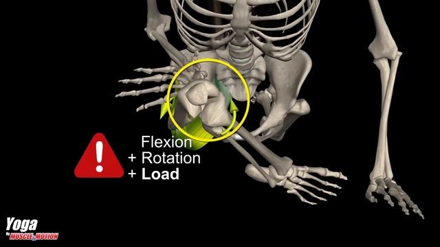 Pigeon Pose | Full Anatomical Analysis + Mistakes to Avoid смотреть онлайн