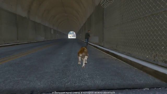 GTA 5 Играем лайкой - лофофора смотреть онлайн