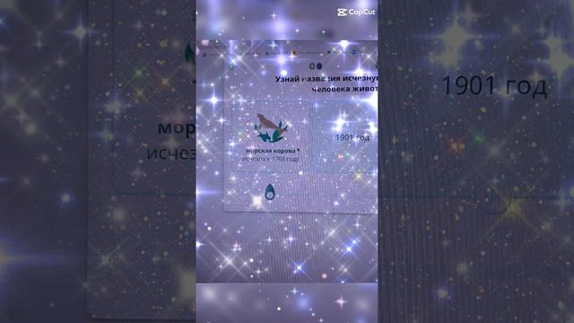 Без названия