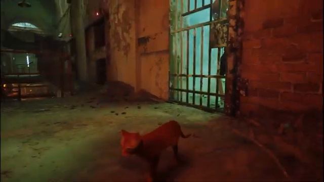 Stray