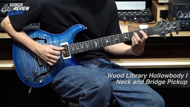 PRS Wood Library Hollowbody I Limited VS Hollowbody II FMT Review (No Talking)