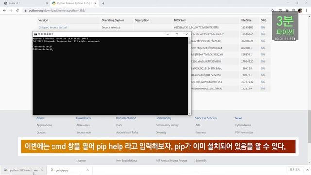 [3분파이썬] #001 파이썬 및 pip 설치 (윈도우, 파이썬 3.8) How to install python and pip on windows 10 смотреть онлайн