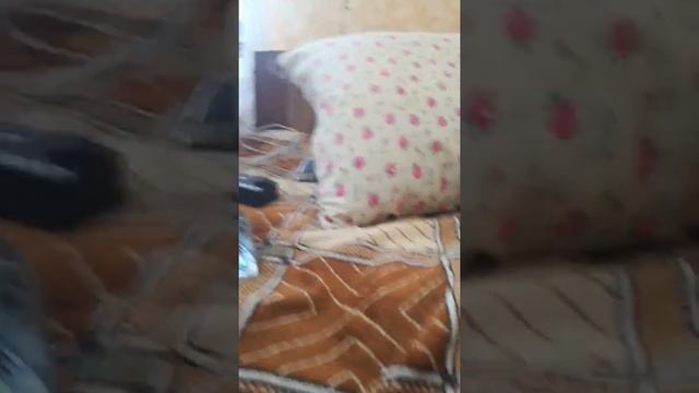 Как убрать кузирки воздуха под защитным стеклом смотреть онлайн