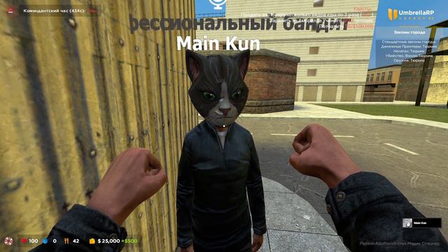 Я провёл 24 часа на DarkRP, и вот что со мной произошло смотреть онлайн