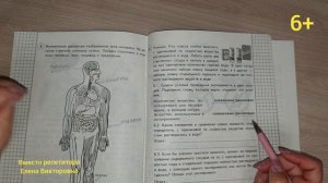 ВПР по окружающему миру в 4 классе, вариант 24