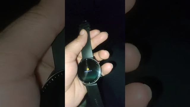 AMAZFIT GTR 2 Bootloop Problem