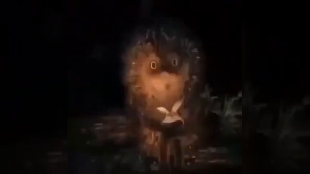 Как мы выжили (о советском детстве) смотреть онлайн