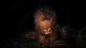 Как мы выжили (о советском детстве)