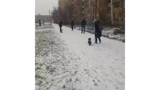 Разные задания на Курсе Социализация смотреть онлайн