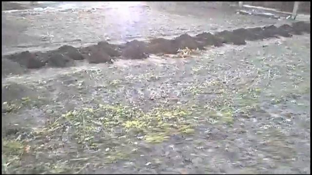 Органическое земледелие на юге Украины (март 2019) смотреть онлайн