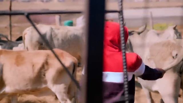 Joezi - Amathole Feat. LIzwi (720p) (via Skyload)