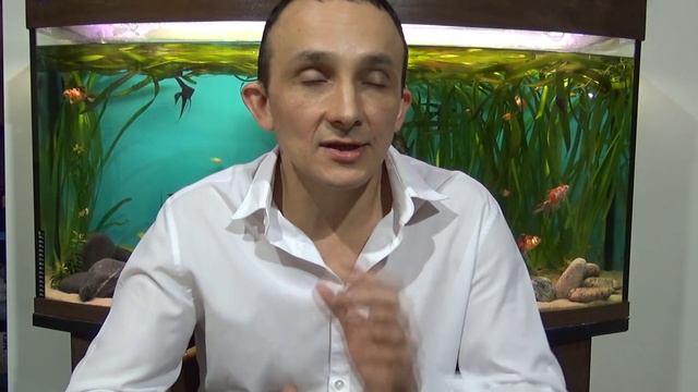 ВЛОГ: ВАЖНАЯ ДЕТАЛЬ ПРИ РАЗВЕДЕНИИ Apteronotus Albifrons( рыба-нож),ИЗУЧЕНИЕ РЫНКА, ВЫВОД ПЕРЕПЕЛОВ