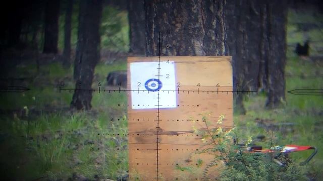 ОХОТНИЧИЙ ПРИЦЕЛ WESTHUNTER HD 4-16X44 FFP смотреть онлайн