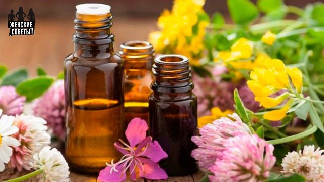 НЕПРИЯТНЫЙ ЗАПАХ В ТУАЛЕТЕ? Мы знаем что нужно сделать! смотреть онлайн