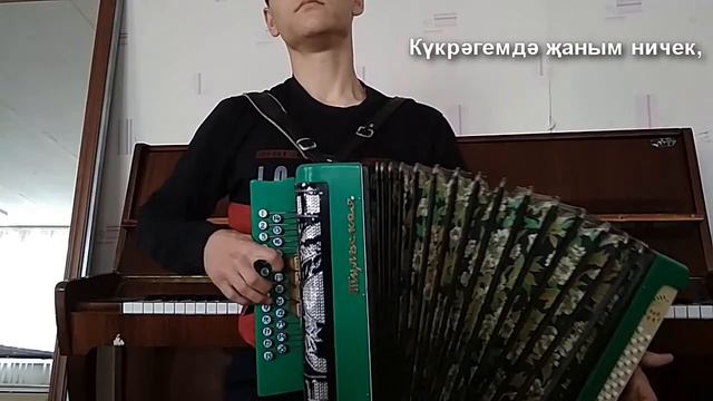 КРАСИВАЯ ТАТАРСКАЯ песня на гармони.