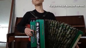 КРАСИВАЯ ТАТАРСКАЯ песня на гармони.