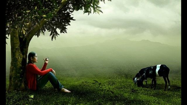 Beautiful Relax Music/ Красивая музыка для Йоги, Расслабления и Медитации. смотреть онлайн