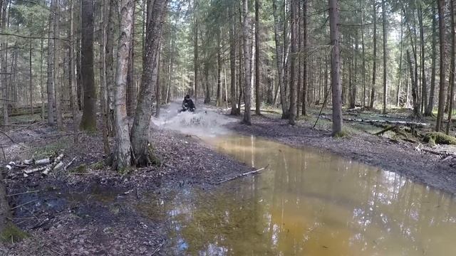 Сестек кинкобра 500 покатушка. смотреть онлайн