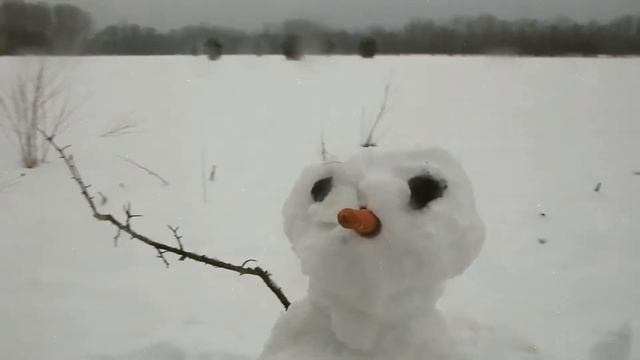 Дельфин "Снеговик" смотреть онлайн