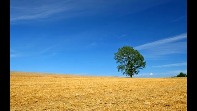 Nature Wallpaper смотреть онлайн