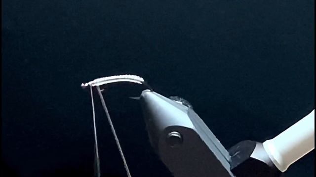 Ботаника для всех