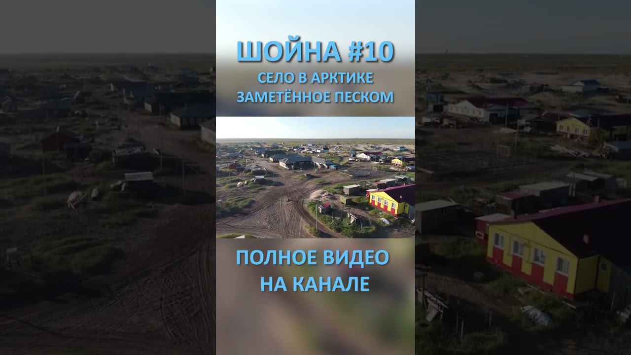 ШОЙНА SHOYNA 10 SHORTS #SHORTS смотреть онлайн