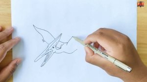How to Draw a Pterodactyl Step by Step Easy | Dinosaur Drawing Pterodactyl From Jurassic World