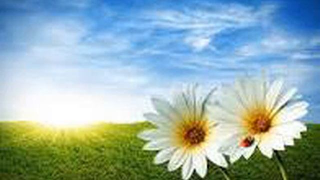 Медитация "Энергетическая зарядка" смотреть онлайн